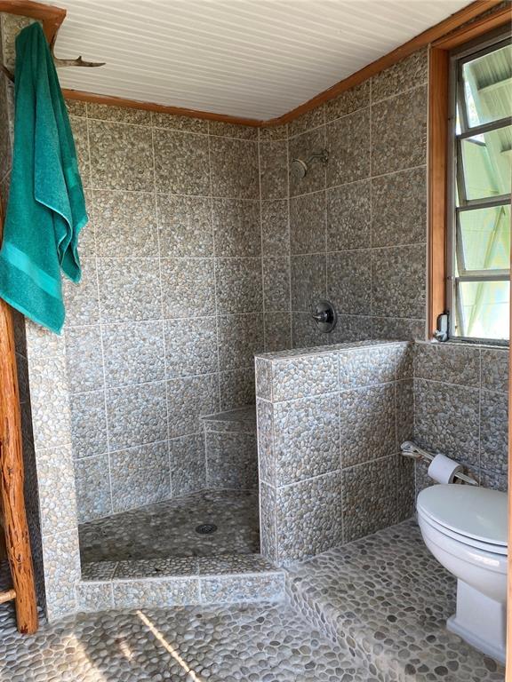 Xx Xx Romor Ranch Ochopee, FL 34141 - Photo 6 of 8 a bathroom with a shower and a toilet