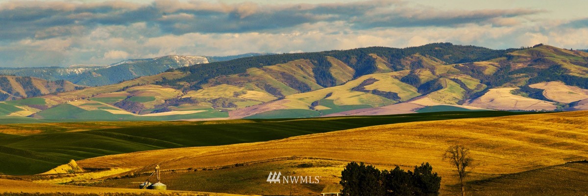 3 Loney Road Walla Walla, WA 99362 - Photo 1 of 1
