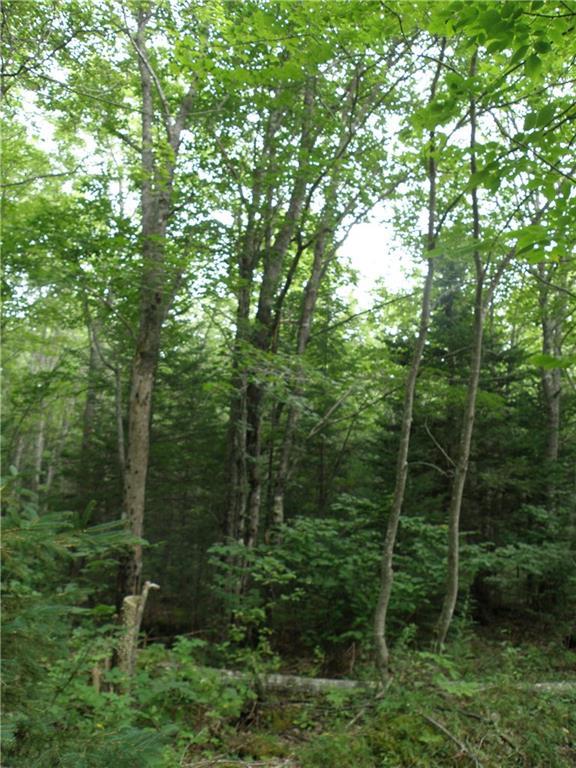 0 Flaherty Road Milbridge, ME 04658 - Photo 8 of 23 Photo