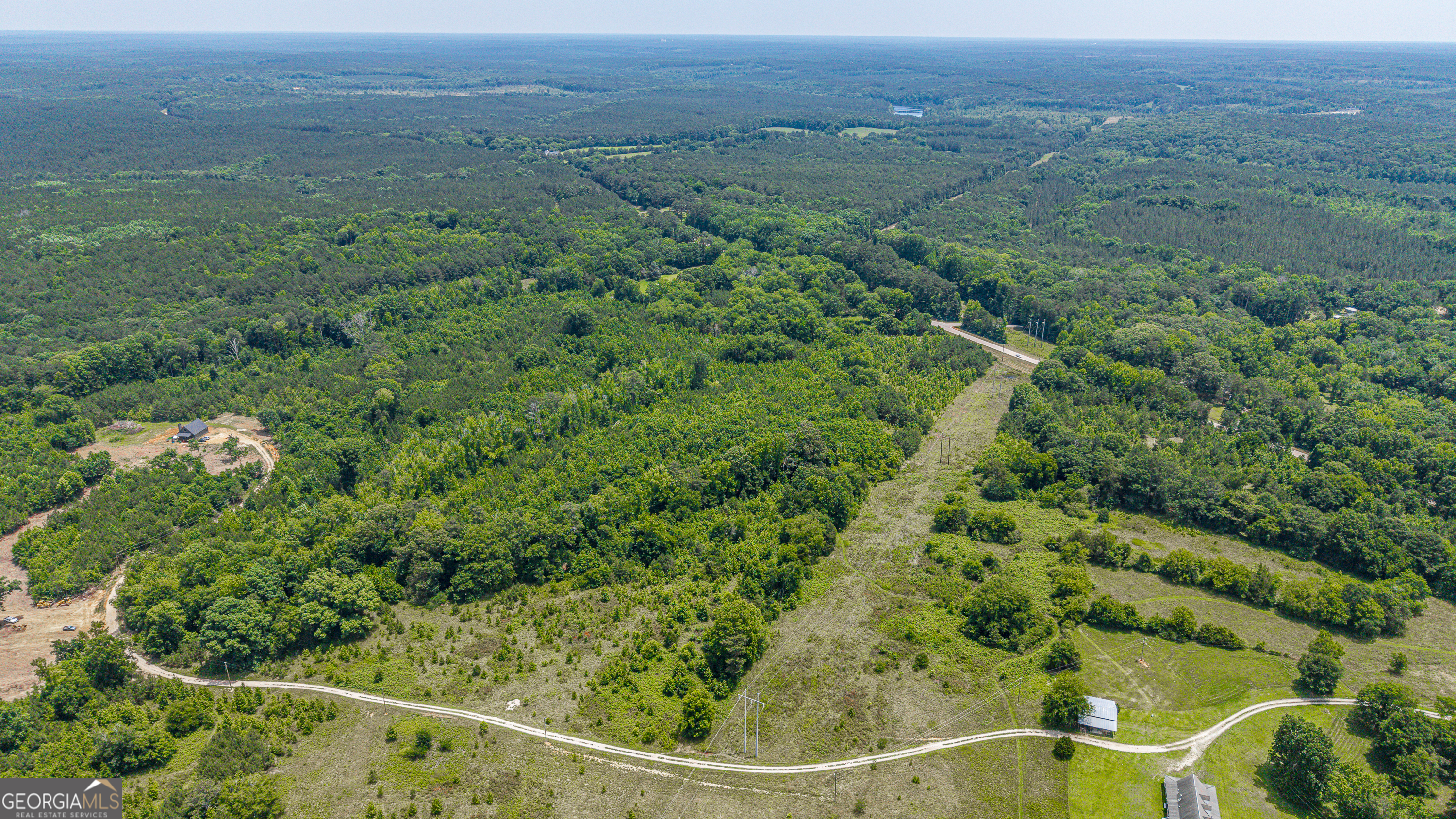 0 Washington Highway Union Point, GA 30669 - Photo 6 of 22