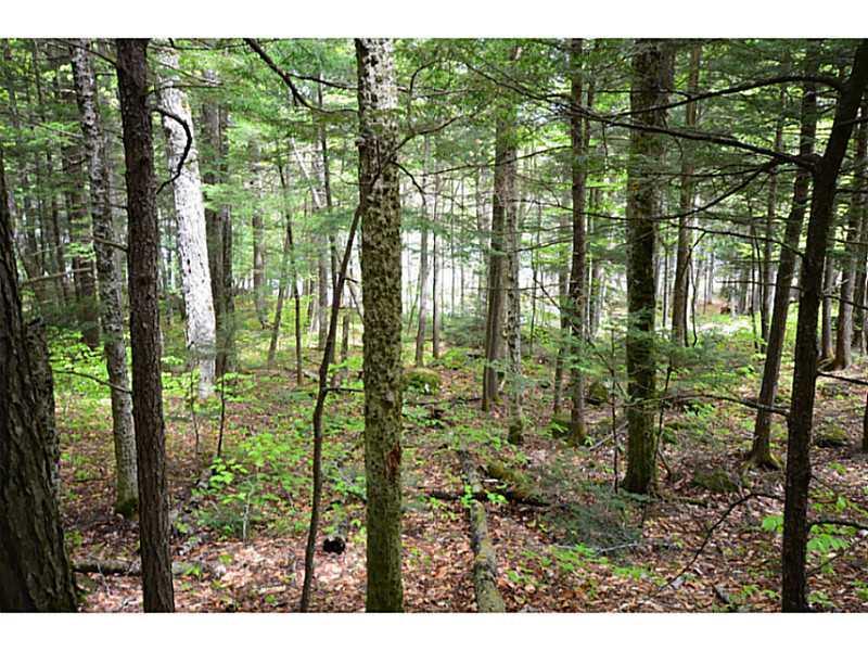 Off Citron Hill Road Sebec, ME 04481 - Photo 19 of 23 Land/Lot.