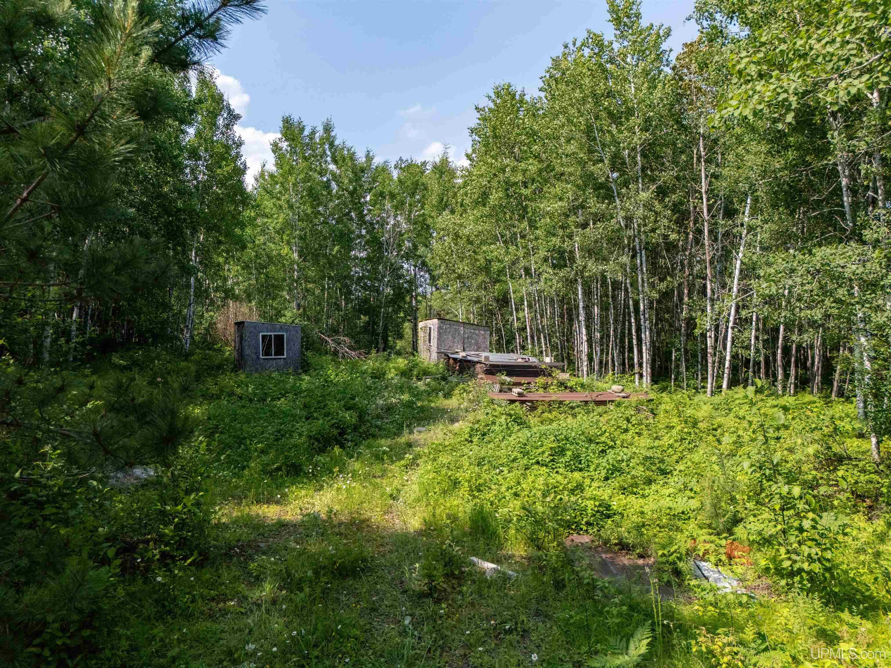 114 Blueberry Corner Road Crystal Falls, MI 49920 - Photo 42 of 43