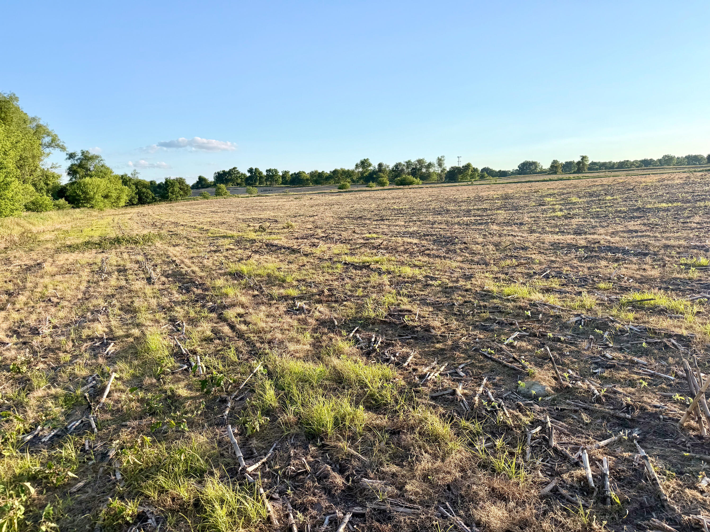 8375 South Stoney Lake Road Jackson, MI 49201 - Photo 10 of 101 Jackson 111.84-037