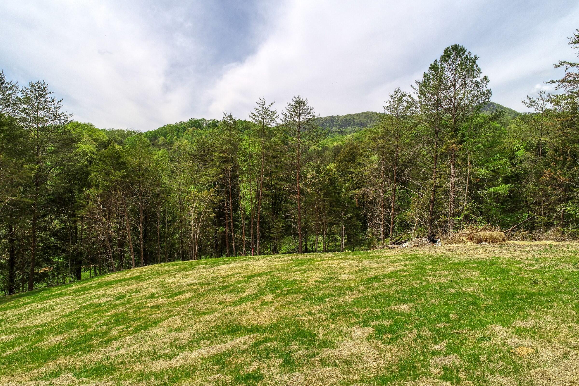 204 Foster Road Rogersville, TN 37857 - Photo 59 of 72 Webb. 204 Foster Rd. Rog FULL RESa (15