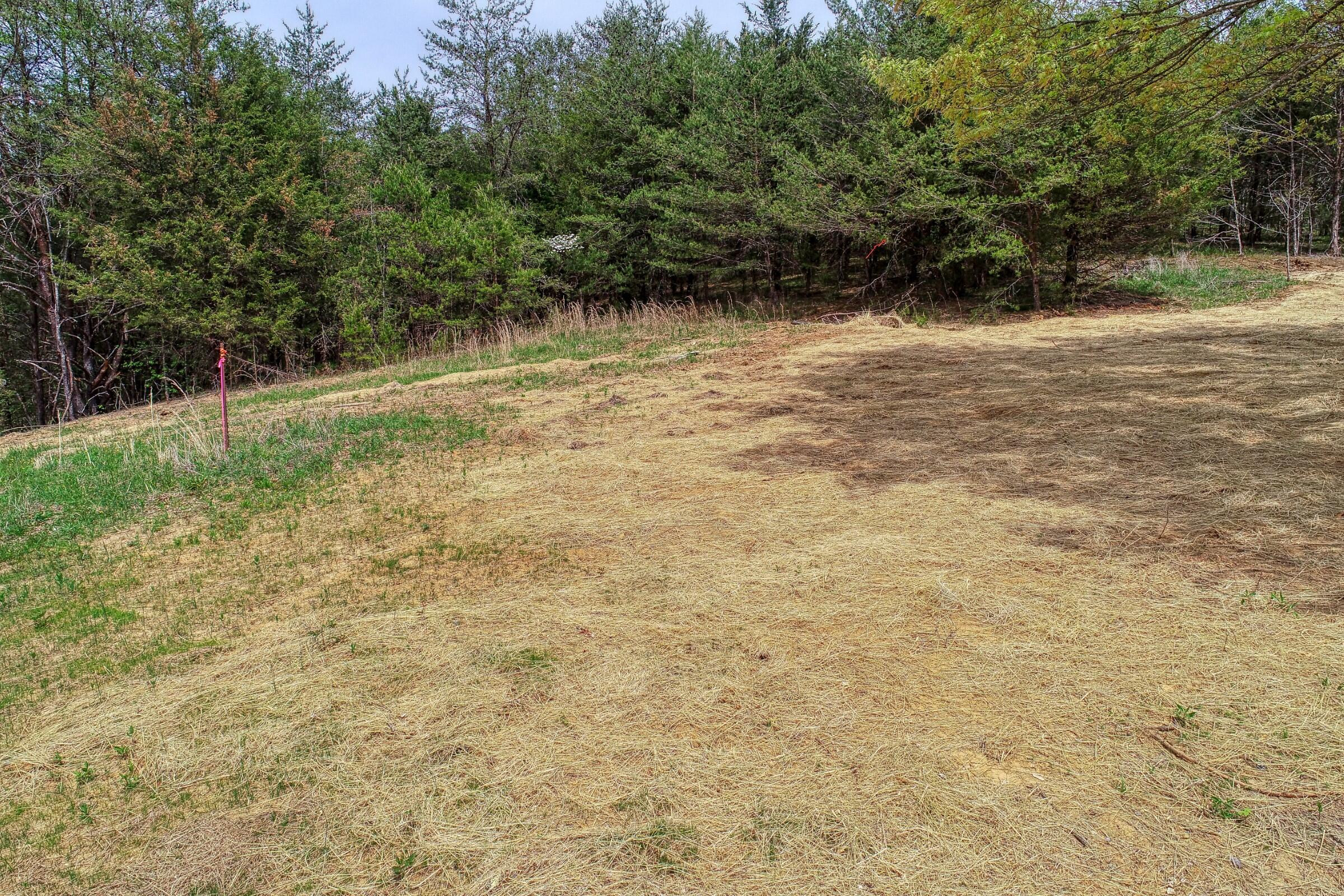 204 Foster Road Rogersville, TN 37857 - Photo 60 of 72 Webb. 204 Foster Rd. Rog FULL RESa (16