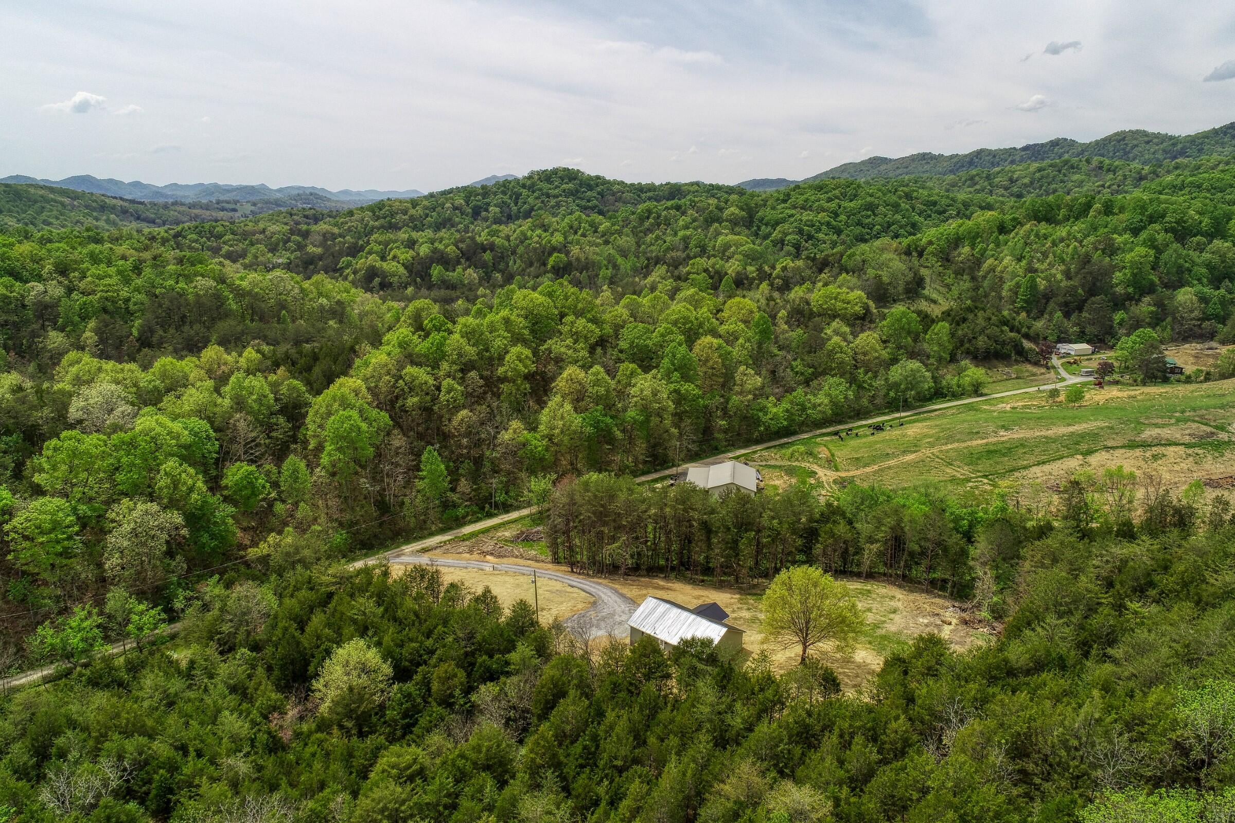 204 Foster Road Rogersville, TN 37857 - Photo 69 of 72 Webb. 204 Foster Rd. Rog FULL RESa (25