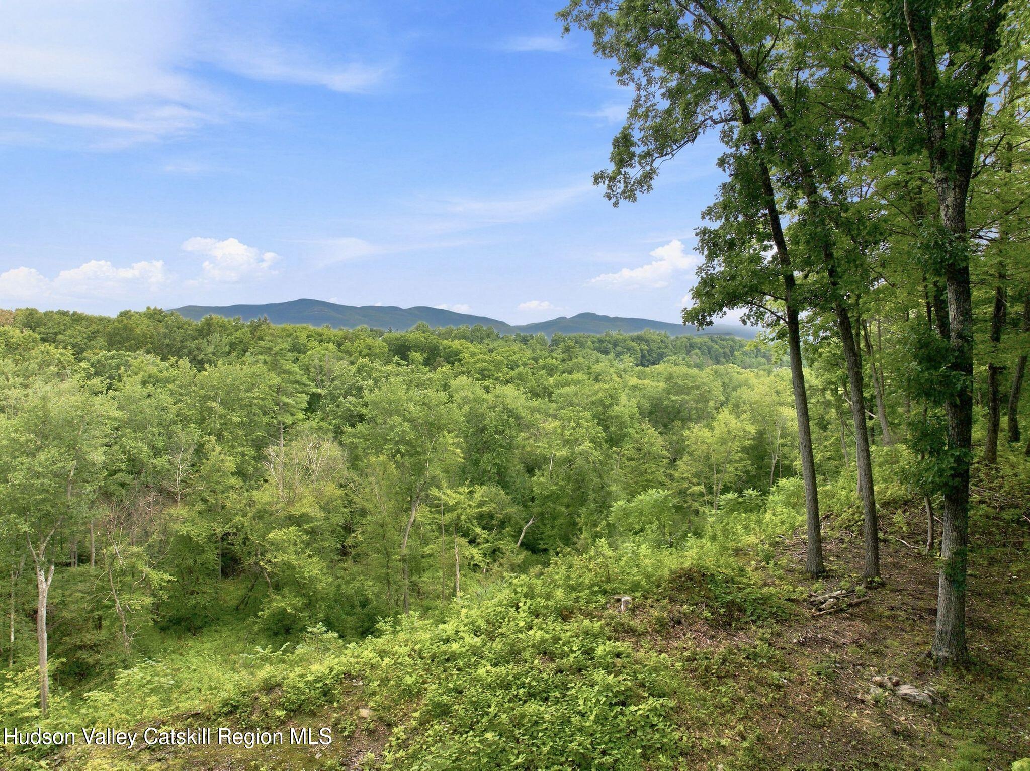3 Arrowhead Ridge Road Saugerties, NY 12477 - Photo 6 of 11 3 Arrowhead Ridge Road-21