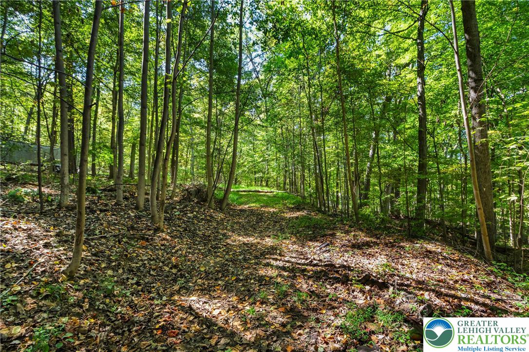 93 Coffeetown Road Easton, PA 18042 - Photo 2 of 11 a view of outdoor space and trees