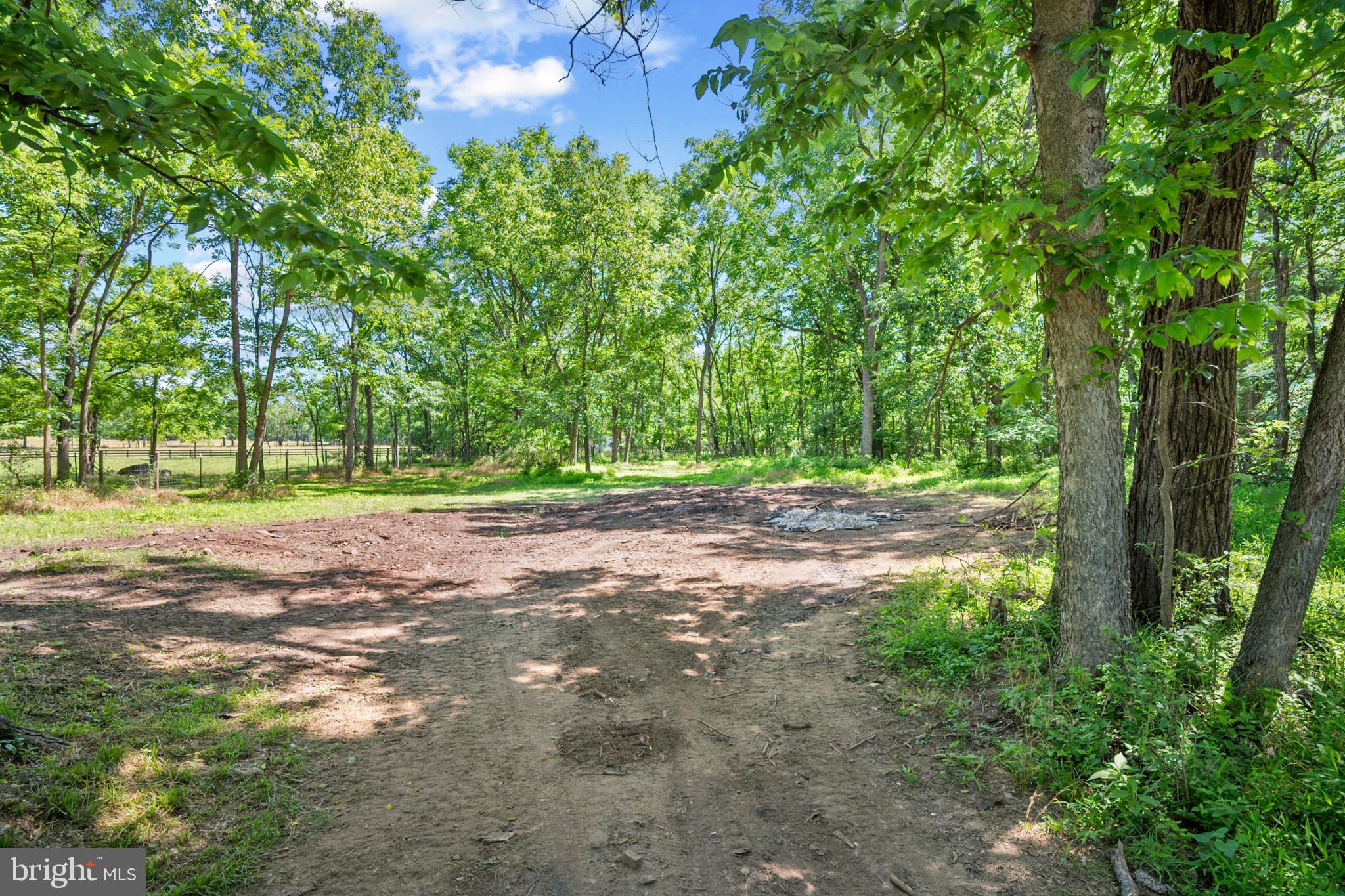 2085 Crums Church Road Berryville, VA 22611 - Photo 52 of 61