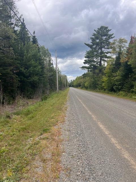 Lot 6 Estabrook Road Amity, ME 04471 - Photo 7 of 11 IMG_6872