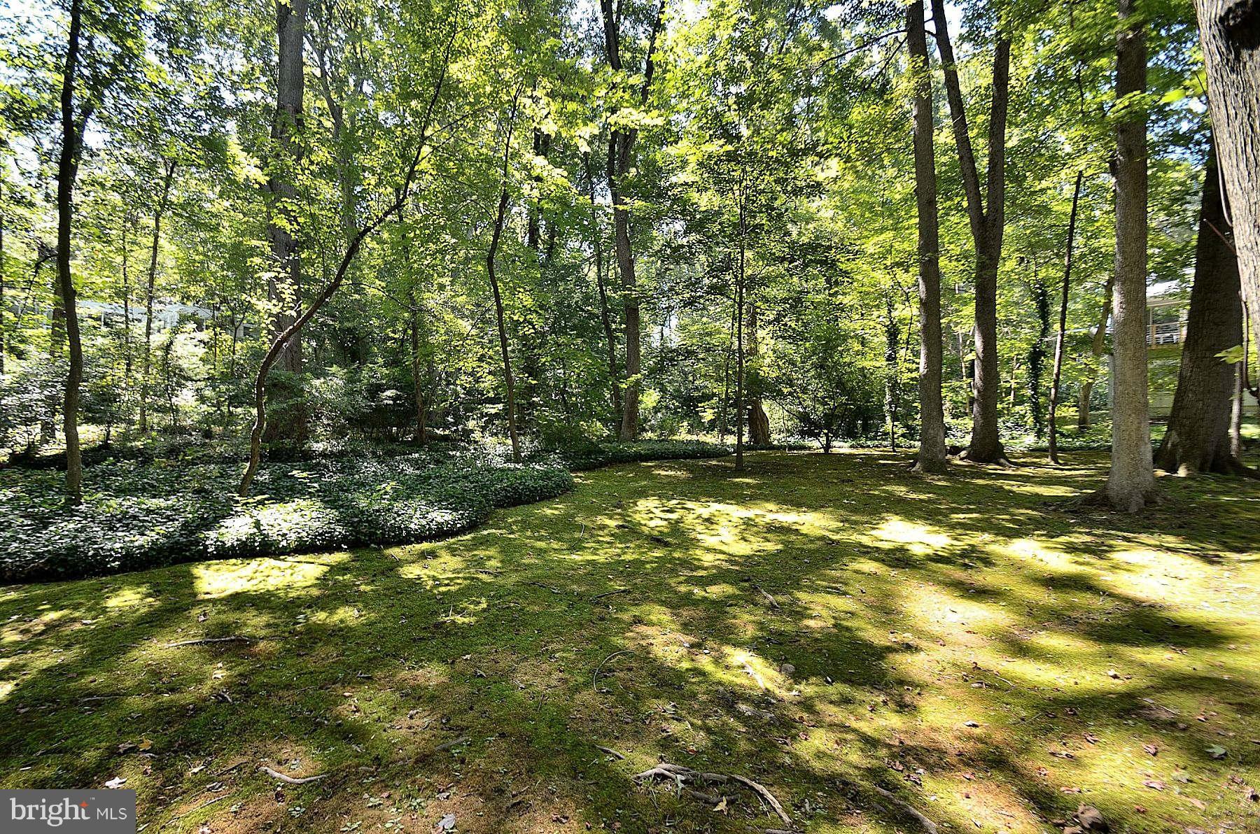 7217 Stafford Road Alexandria, VA 22307 - Photo 29 of 29 Back Yard