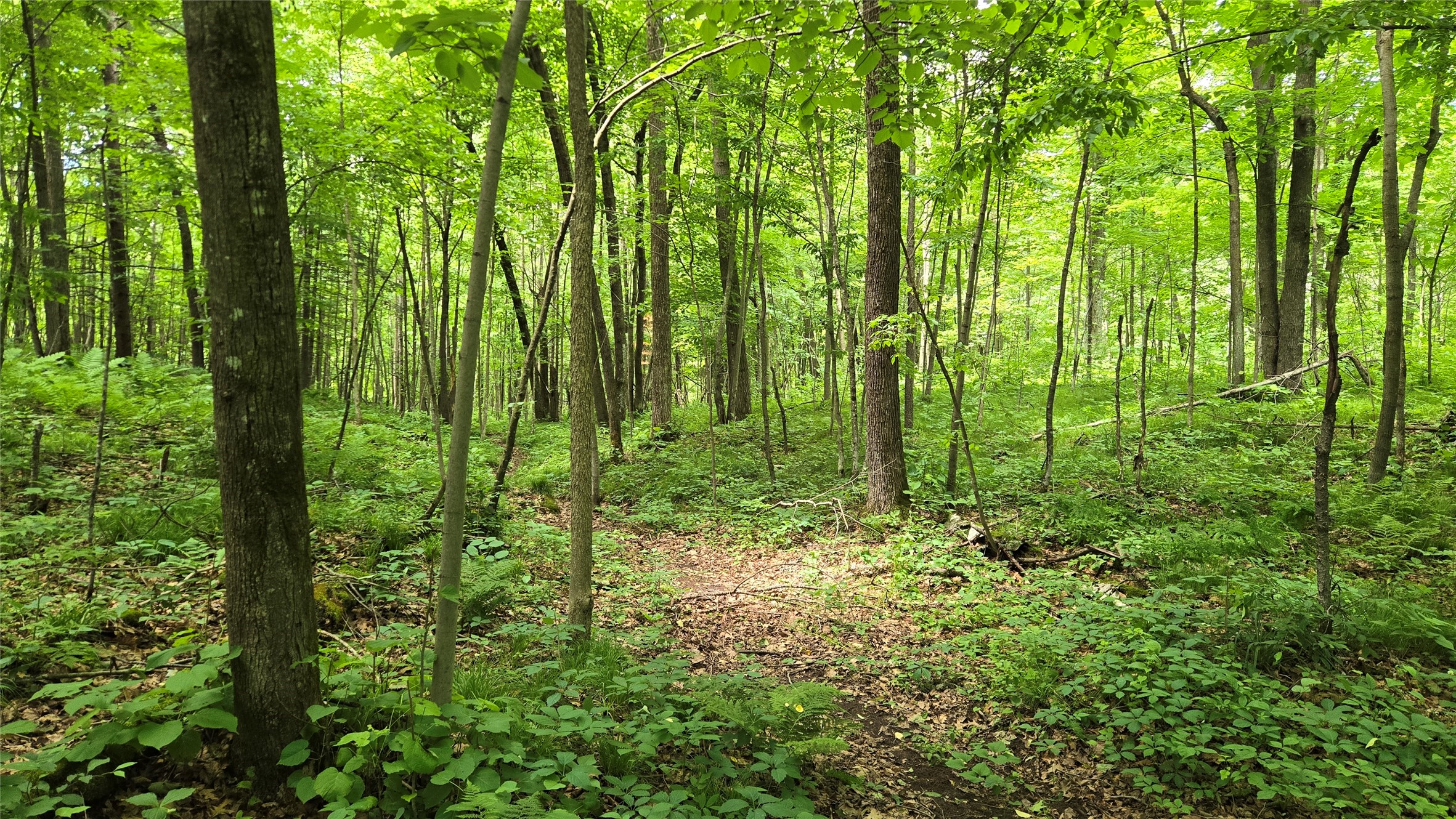 W11680 Jenness Road Bruce, WI 54819 - Photo 37 of 53