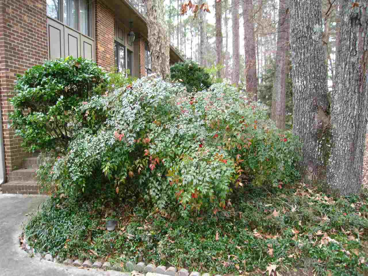 2928 Friendship Road Durham, NC 27705 - Photo 15 of 25 Mature Landscaping