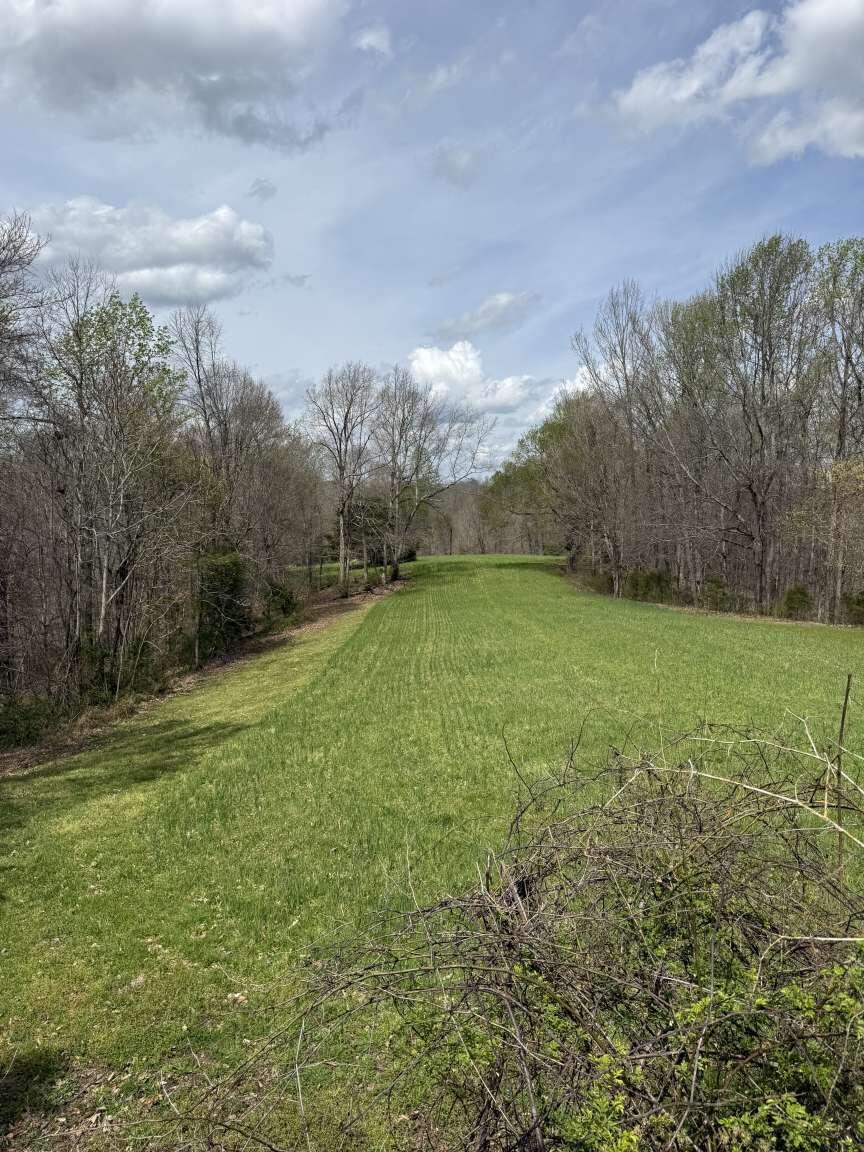 5483 Subtle Road Edmonton, KY 42129 - Photo 6 of 23 Purvis.6