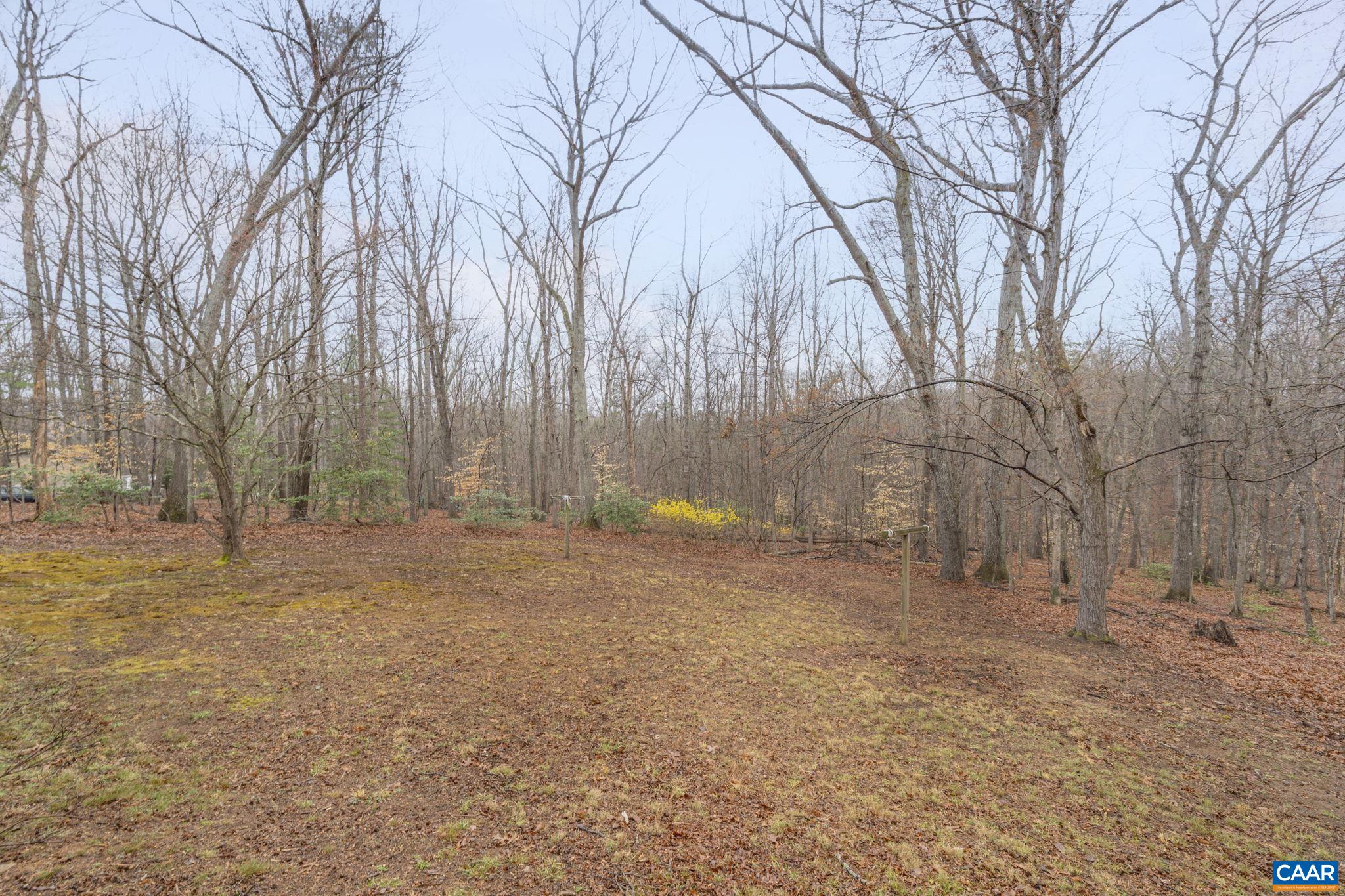 1203 Paynes Mill Road Troy, VA 22974 - Photo 33 of 36 Gallery Image 33