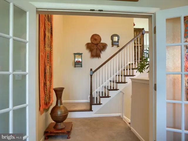 a view of a park with large trees