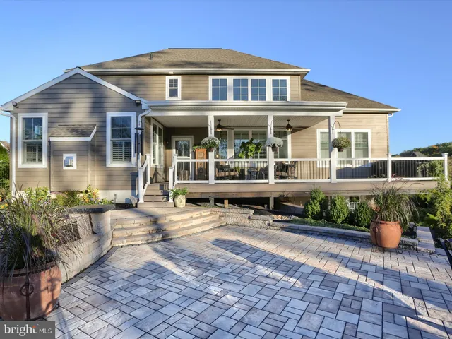 a view of a garden with a large tree