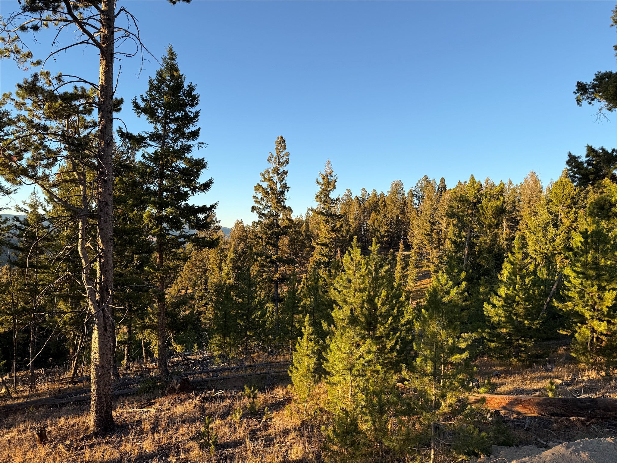 Lot 8 Ruby Street Butte, MT 59701 - Photo 27 of 34 Gallery Image 27