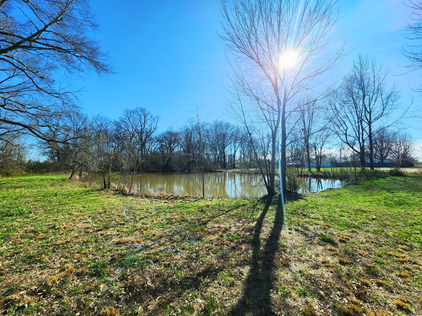 5628 Coal Street Sesser, IL 62884 - Photo 46 of 63