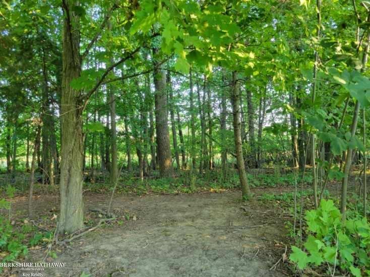 21240 Pratt Road Armada, MI 48005 - Photo 4 of 42