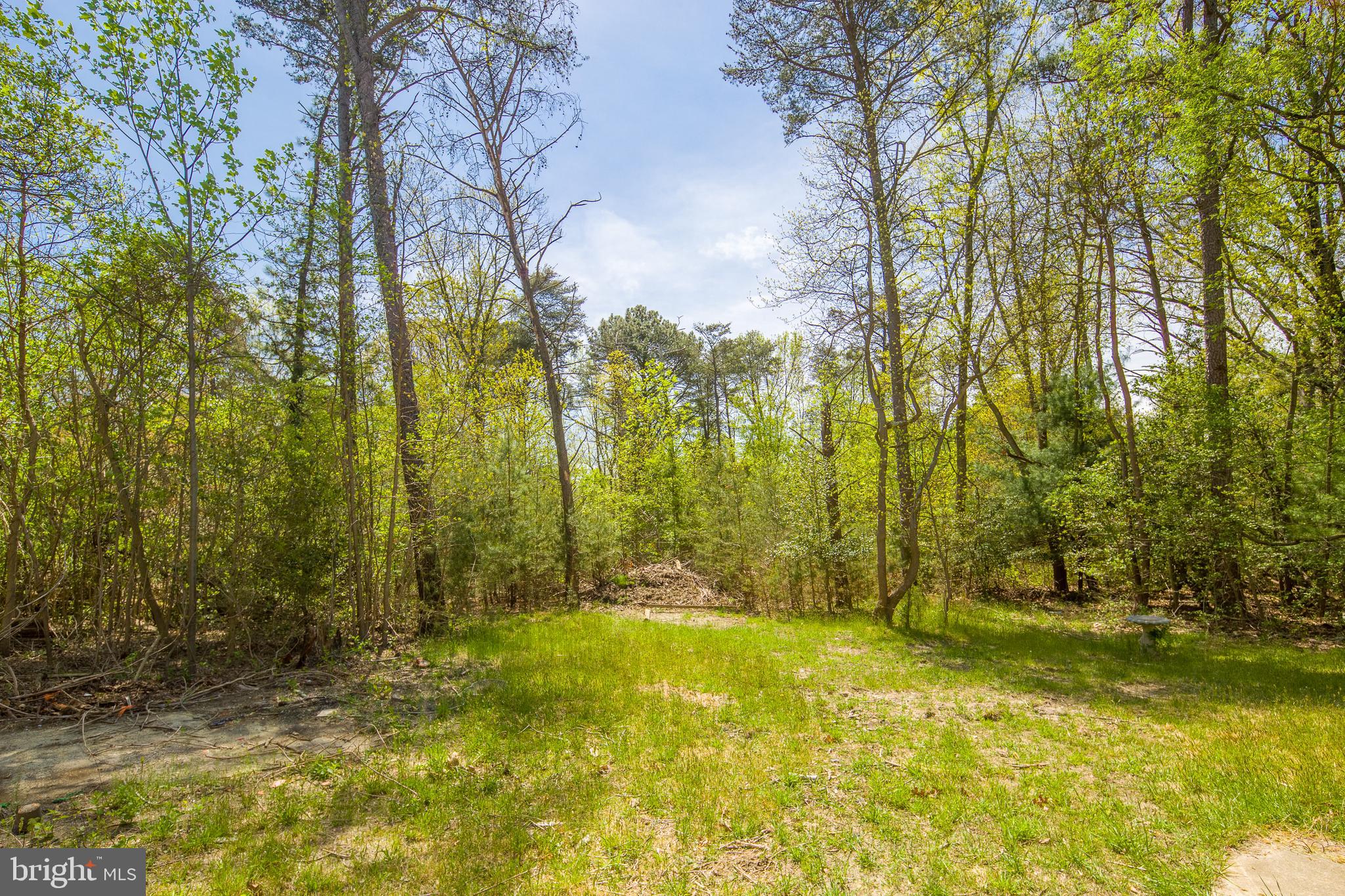 2326 Cooper Road Atco, NJ 08004 - Photo 24 of 25 Gallery Image 24