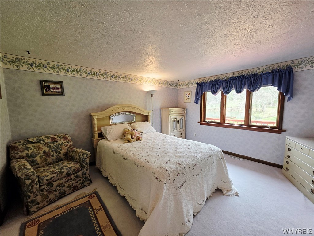 7044 Crane Road Ellicottville, NY 14731 - Photo 13 of 50