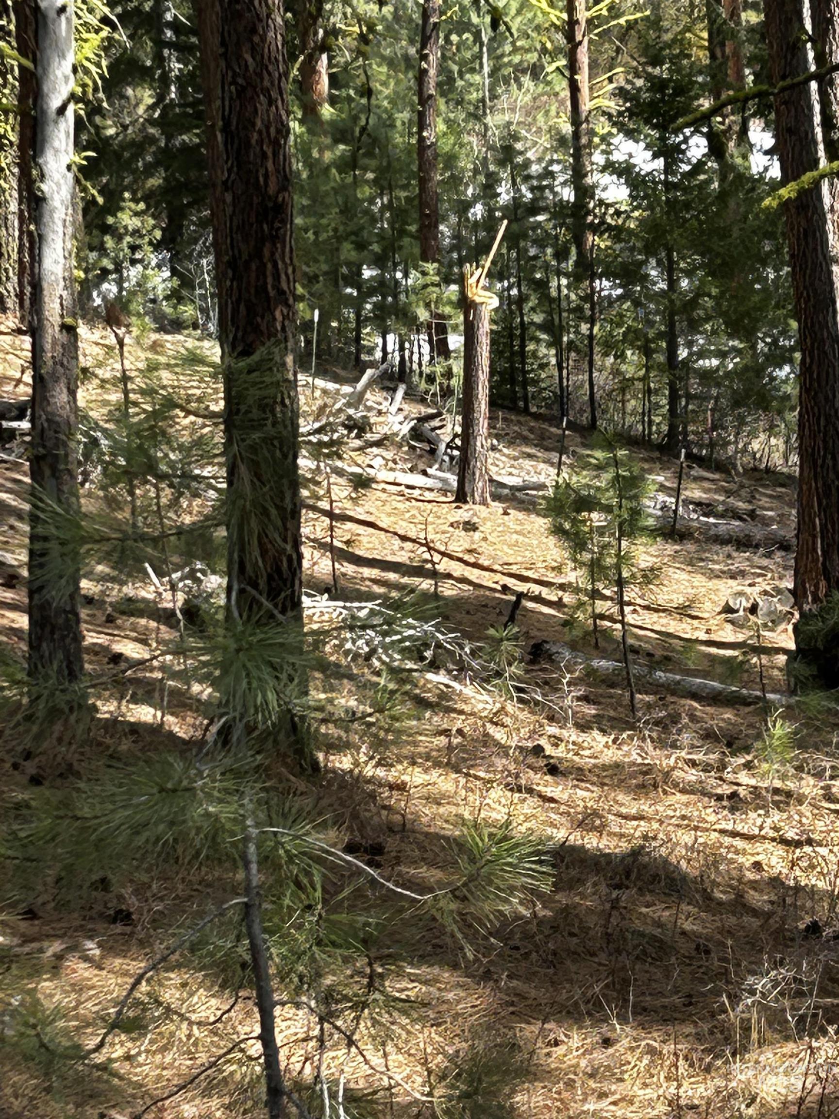 1483 Pine Lakes Ranch Drive Cascade, ID 83611 - Photo 19 of 20