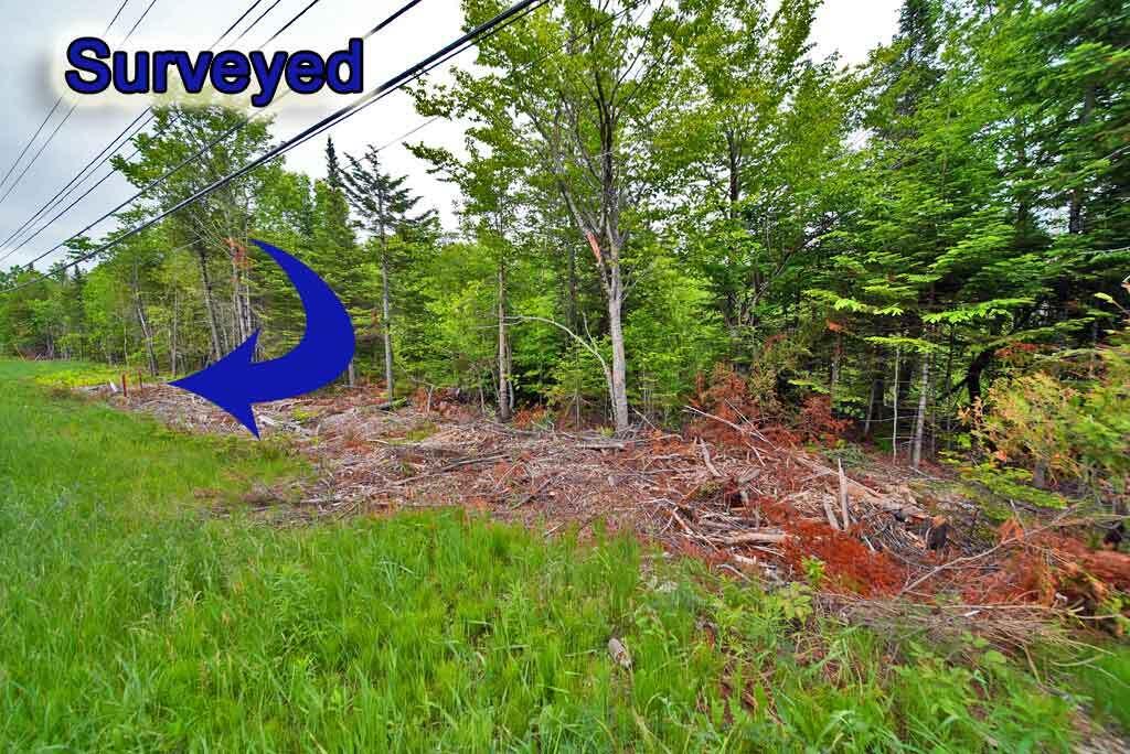 823 Highway 1 Amity, ME 04471 - Photo 30 of 68 surveyed-me-land