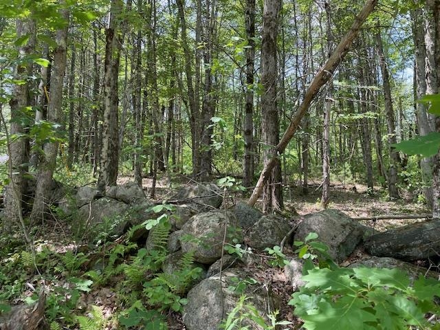 0 Gap Mountain Road Fitzwilliam, NH 03447 - Photo 3 of 5