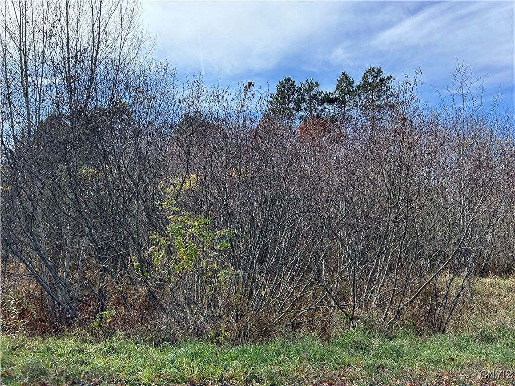 Lot D Corbine Road Harrisville, NY 13648 - Photo 8 of 8