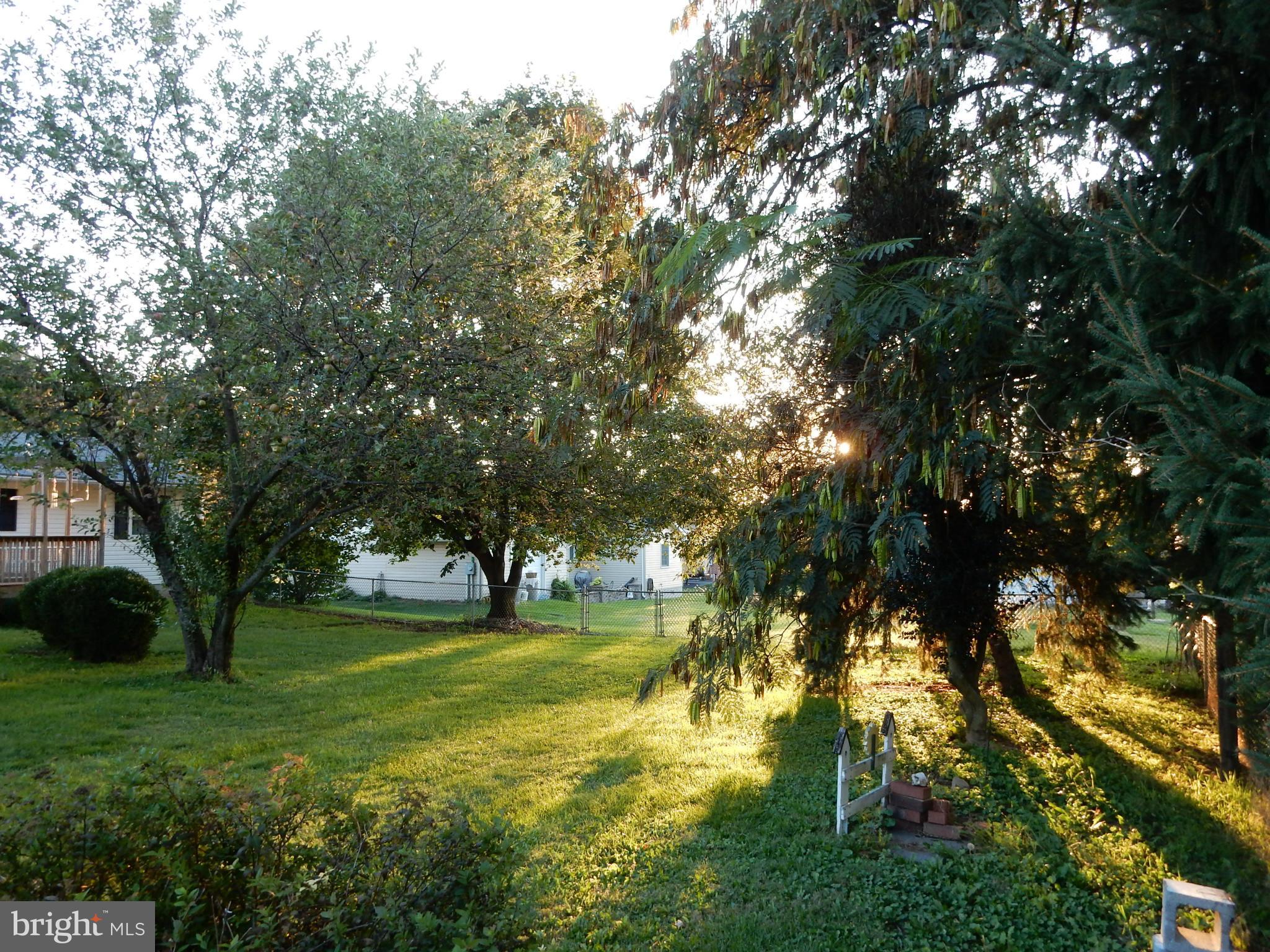 20726 El Rancho Road Boonsboro, MD 21713 - Photo 13 of 23 Backyard