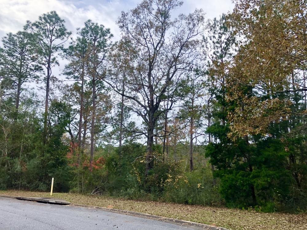 Tara Boulevard Daphne, AL 36527 - Photo 8 of 11
