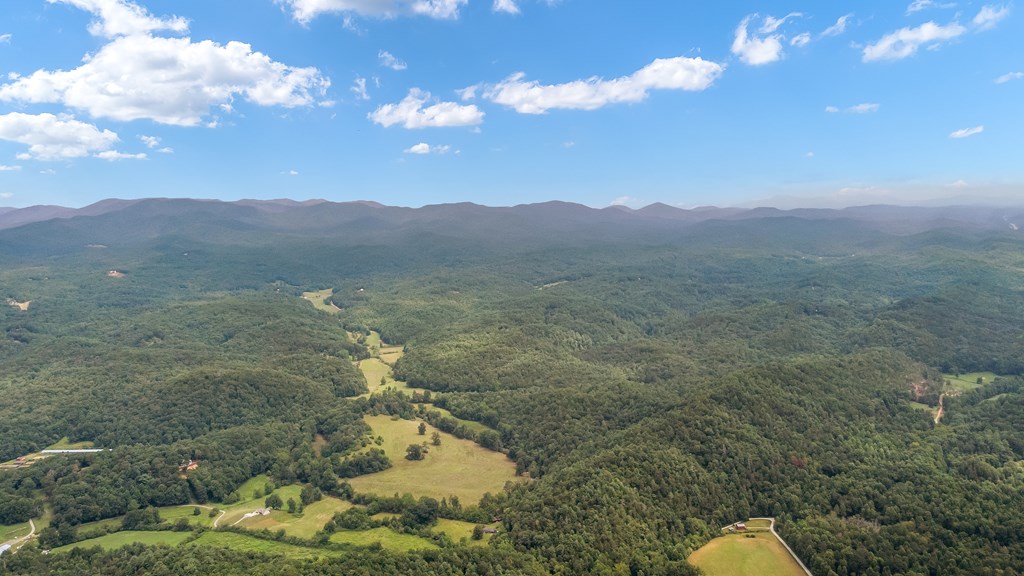 1459 Ray Mountain Road Ellijay, GA 30536 - Photo 46 of 47 Gallery Image 46