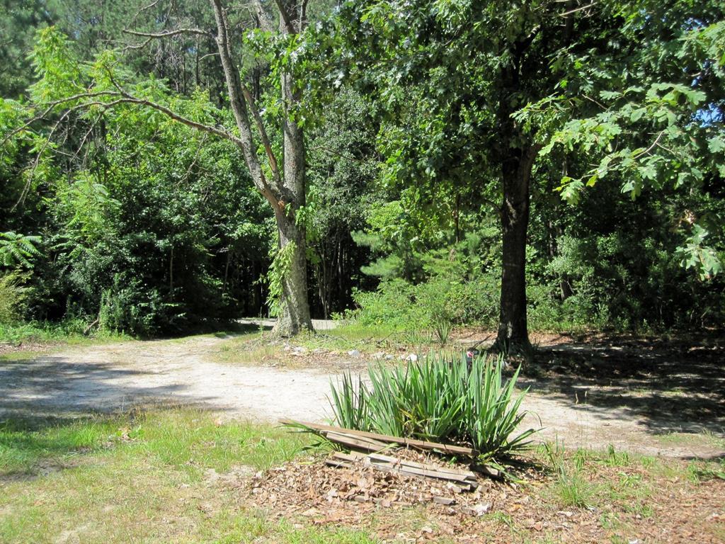 690 Davis Lowground Road Keysville, VA 23947 - Photo 2 of 7 Gallery Image 2