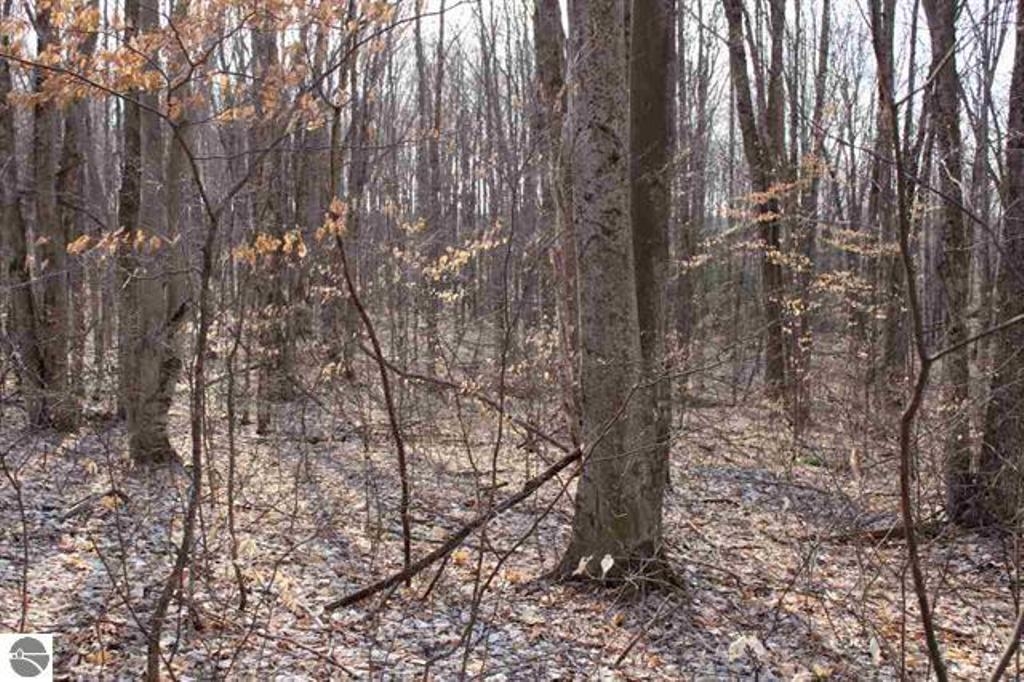 North Wheeler Lake Road Northeast, Unit NE Mancelona, MI 49659 - Photo 10 of 13