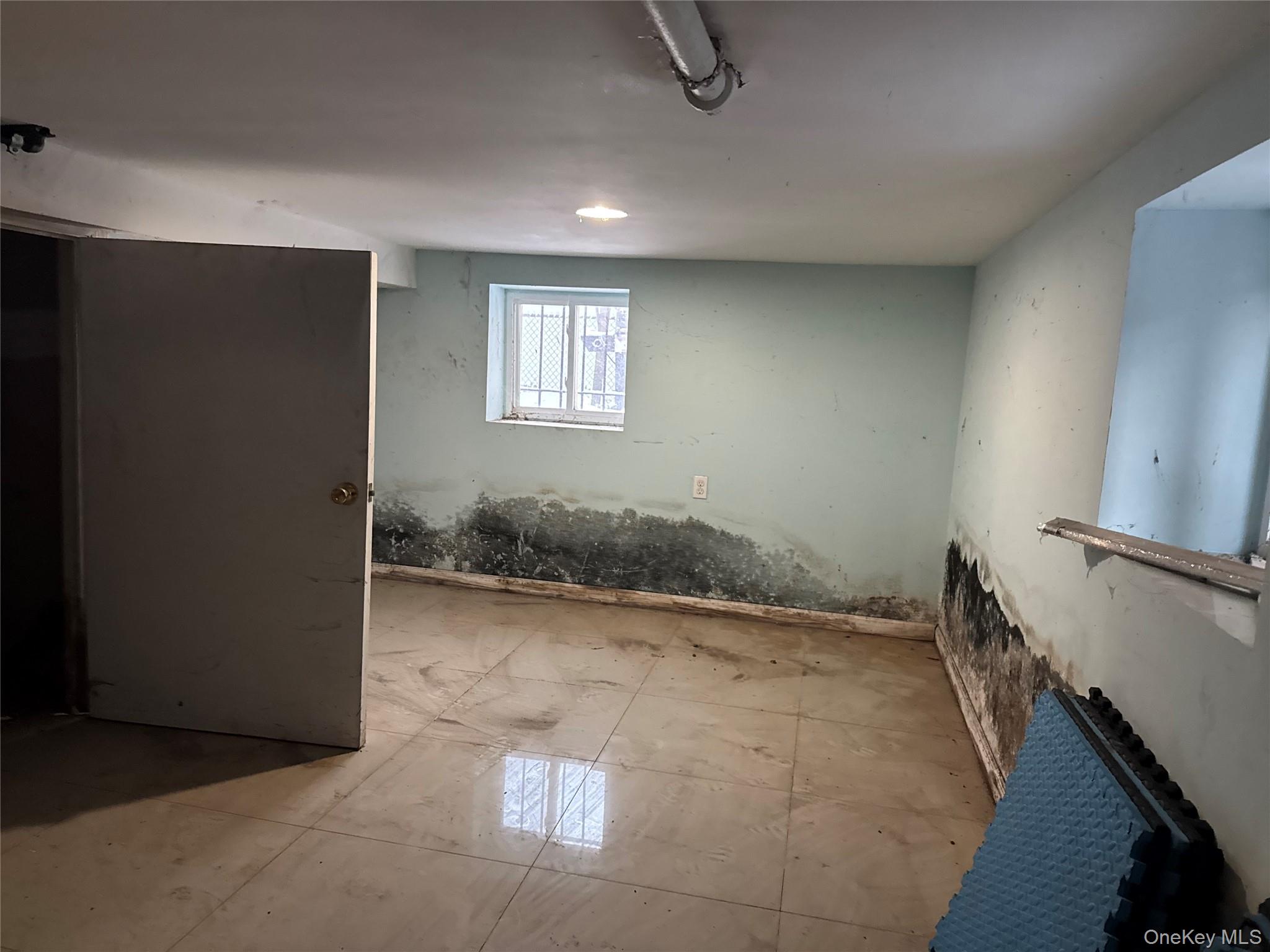 24-31 Deerfield Road Queens, NY 11691 - Photo 24 of 25 View of below grade area