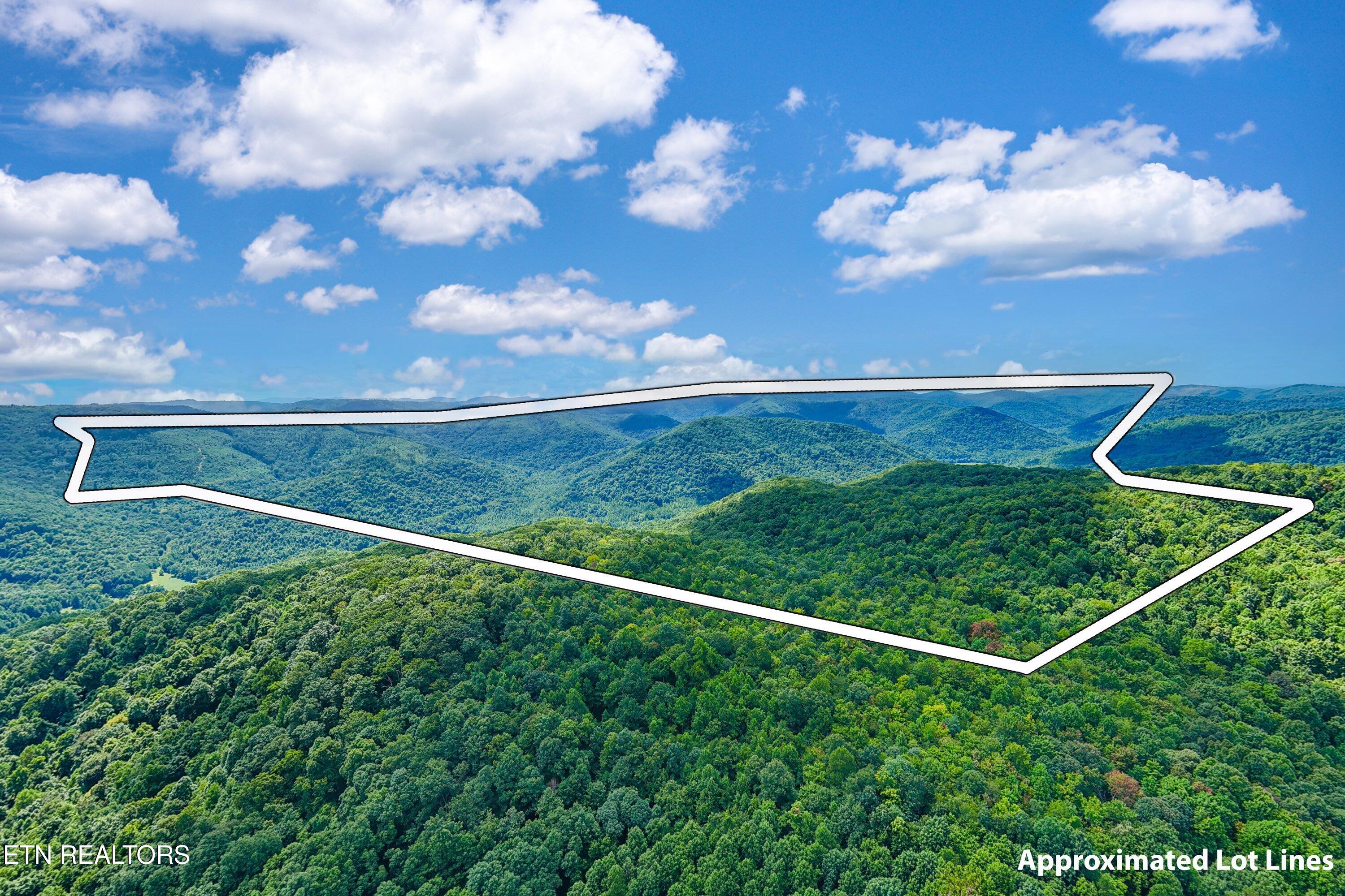 0 Capuchin Road Winfield, TN 37892 - Photo 22 of 26 01-Main Lot A1