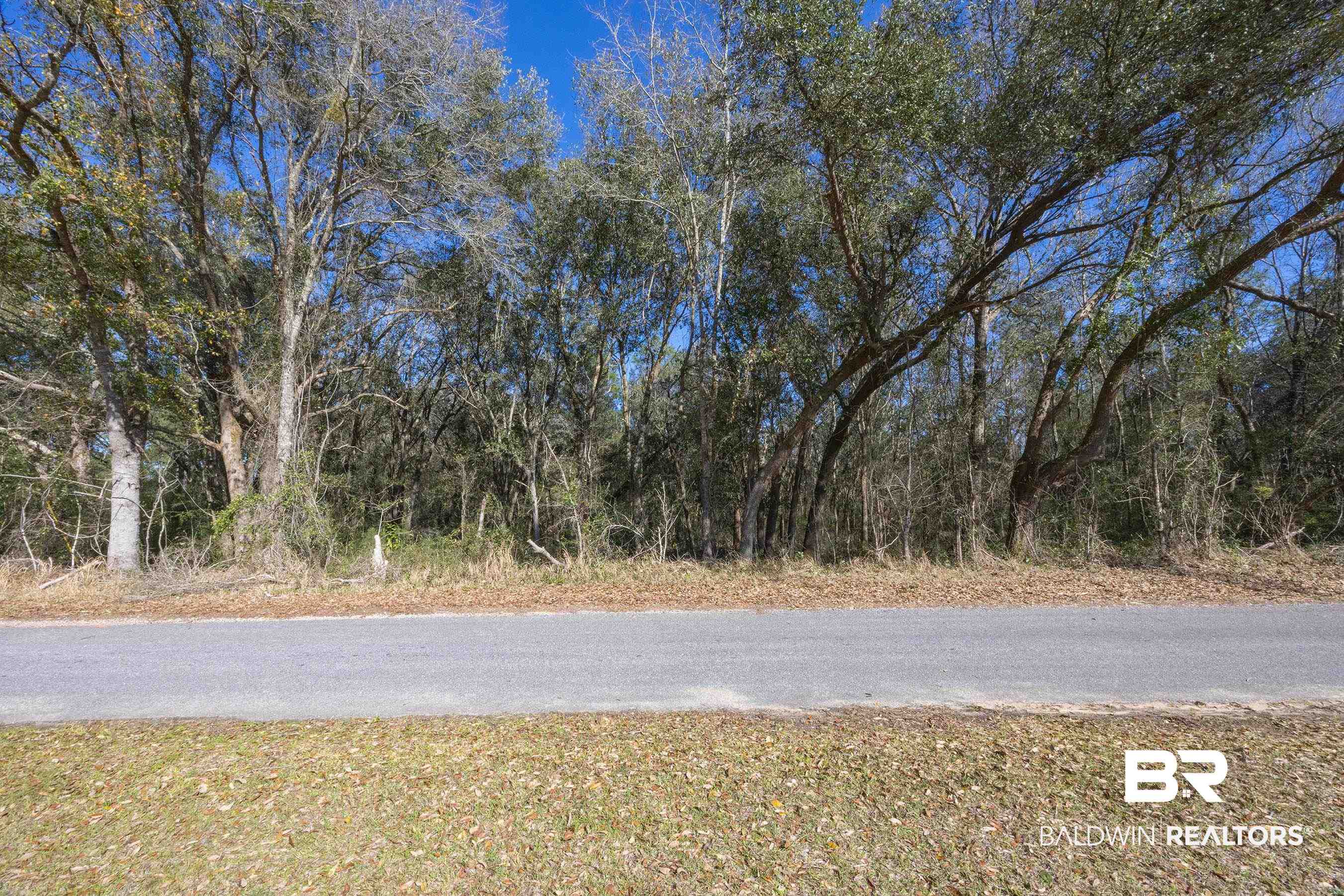 0 Downing Road Summerdale, AL 36580 - Photo 7 of 10 View of street