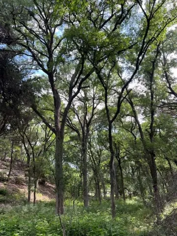 $640,000 | 815 Riva Ridge Drive, Leander, TX 78641