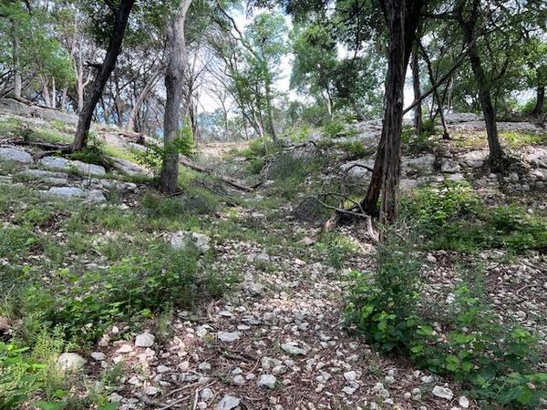 815 Riva Ridge Drive Leander, TX 78641 - Photo 15 of 16