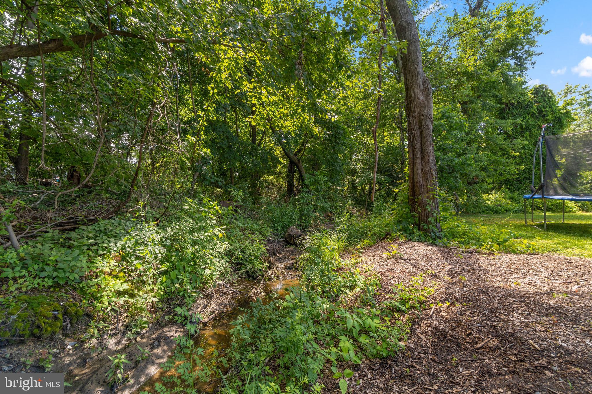 8151 Hog Neck Road Pasadena, MD 21122 - Photo 43 of 44 Backyard