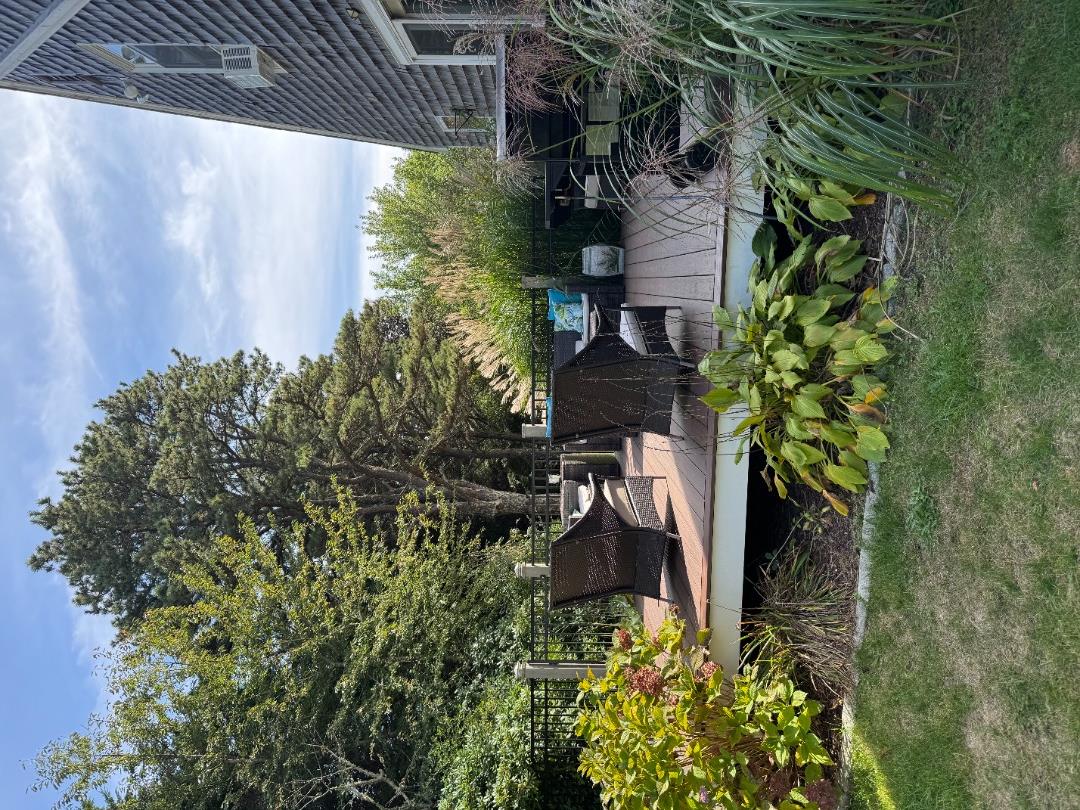 5 Seth's Path Oak Bluffs, MA 02557 - Photo 7 of 19 a view of a chair and table in backyard of the house