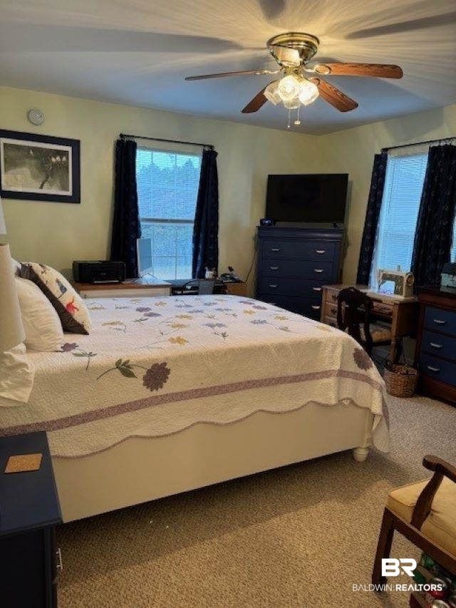 8100 Coden Belt Road West Coden, AL 36523 - Photo 7 of 12 Carpeted bedroom with ceiling fan