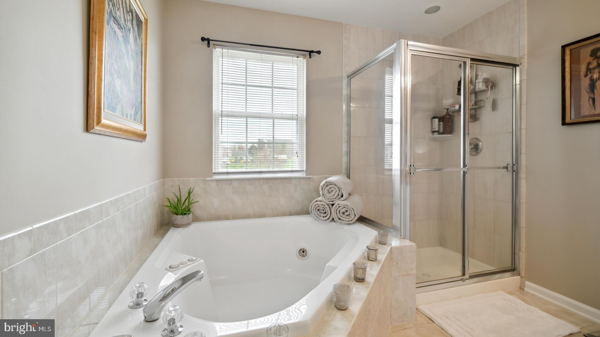 18 Terrell Road Lambertville, NJ 08530 - Photo 31 of 51 Master Bath, with tub jets