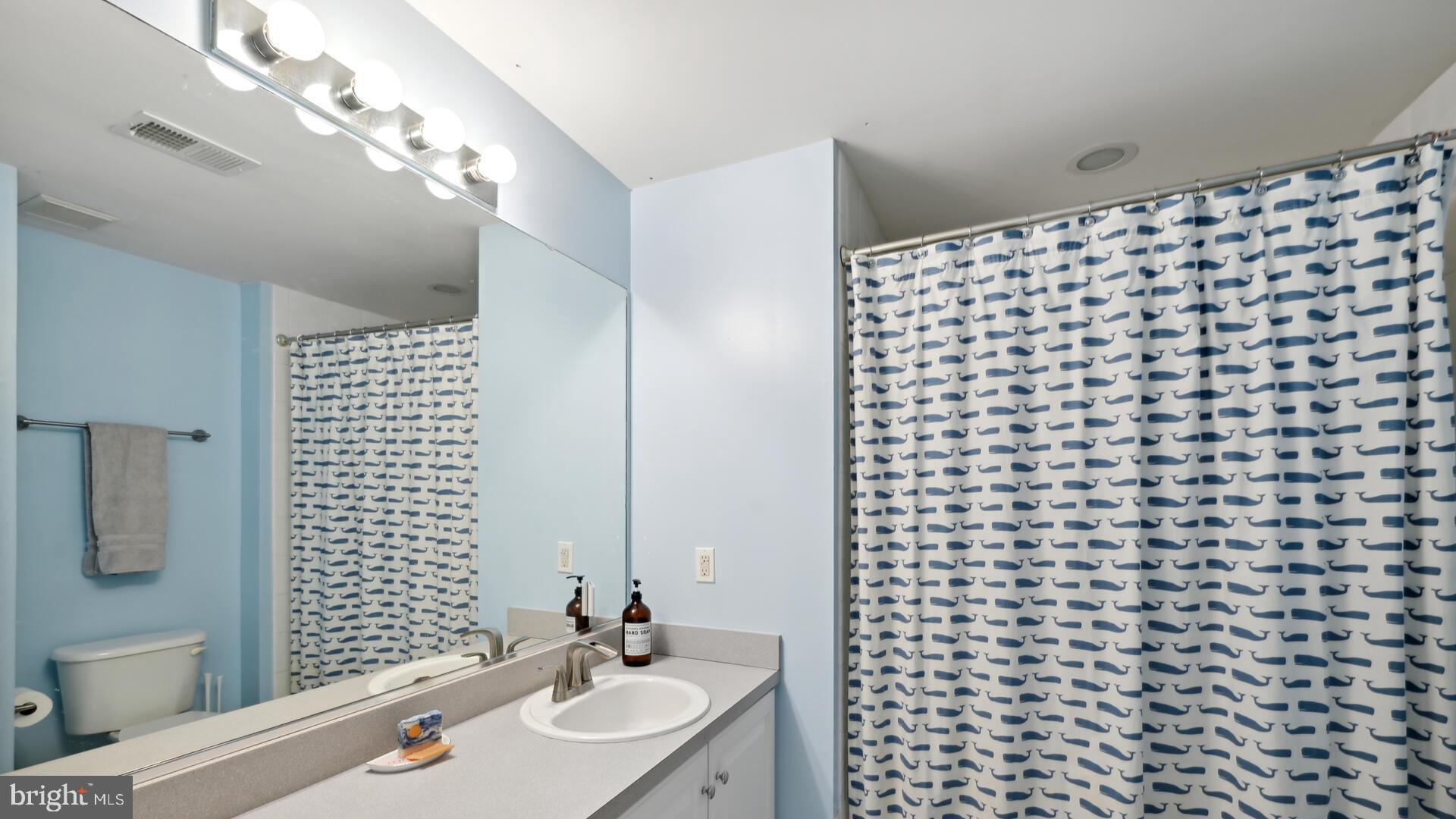18 Terrell Road Lambertville, NJ 08530 - Photo 36 of 51 2nd bathroom