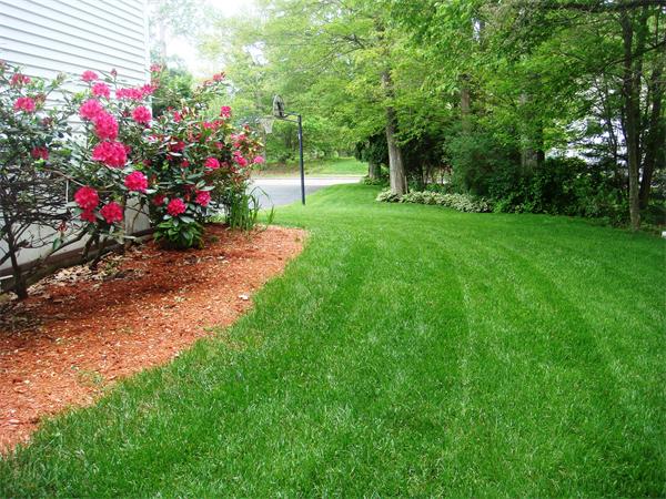 11 Azalea Road Sharon, MA 02067 - Photo 16 of 23