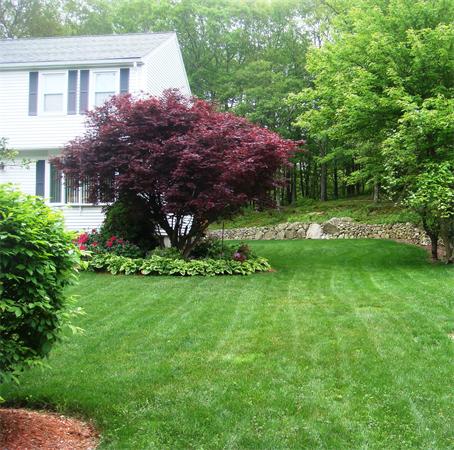 11 Azalea Road Sharon, MA 02067 - Photo 17 of 23