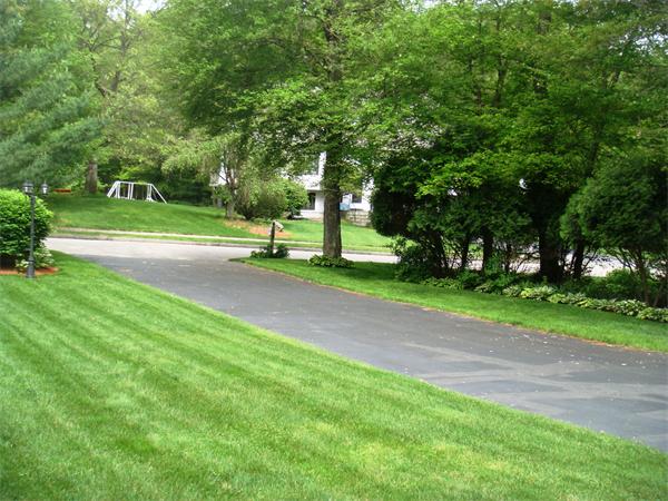 11 Azalea Road Sharon, MA 02067 - Photo 18 of 23