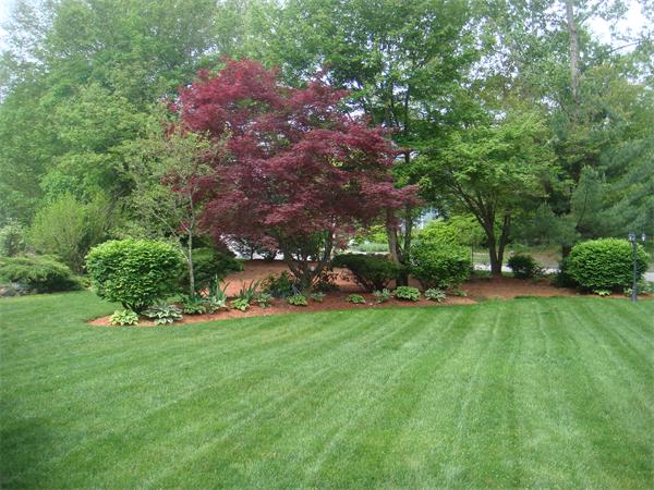 11 Azalea Road Sharon, MA 02067 - Photo 19 of 23