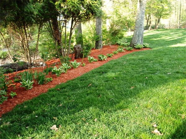 11 Azalea Road Sharon, MA 02067 - Photo 20 of 23